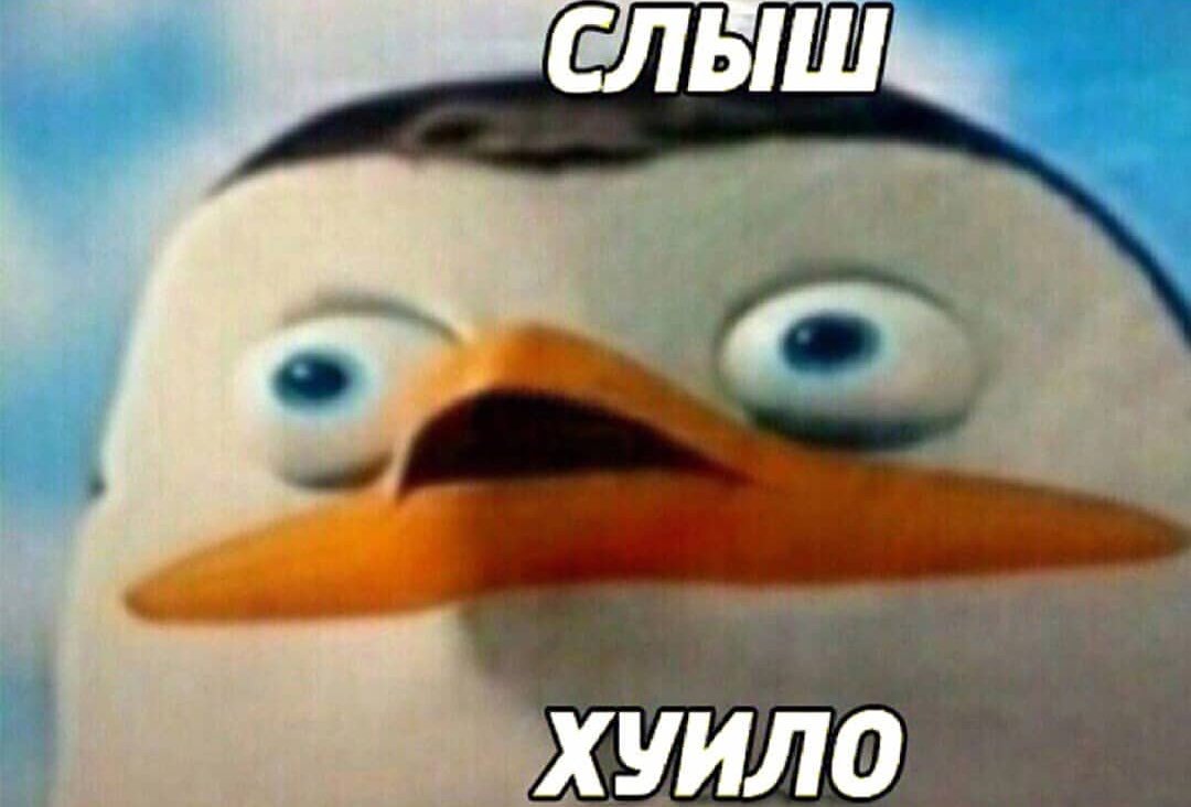 kolishanka's tweet photo. Когда кто-то говорит МелОвин:
#melovin https://t.co/OITD6pqN7b