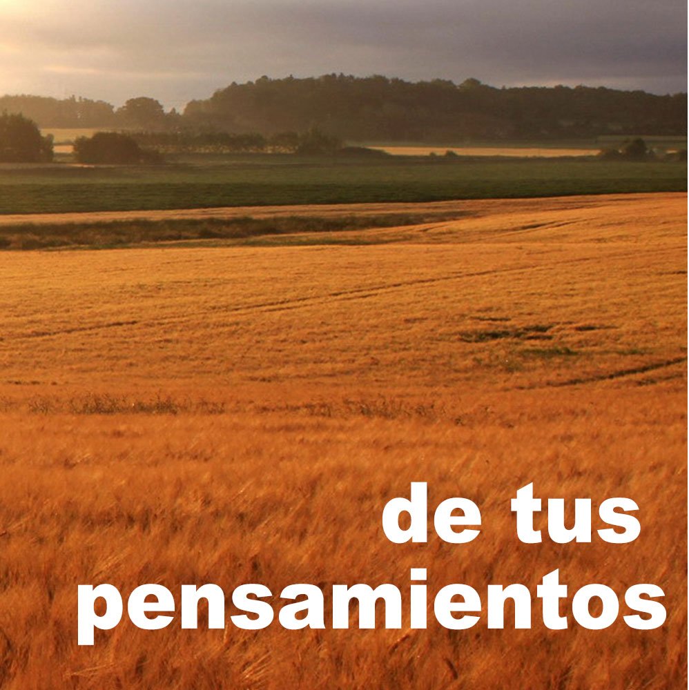 DonAlfonsoG's tweet photo. De la calidad de tus pensamientos, será la vida que tengas.
De la calidad de tus pensamientos, serán las relaciones que tengas.
.
.
.
#mentor #coach #coaching #coachespiritual #coachingespiritual #crecer #amar #dar #oportunidad #enfoque #despertar #ser #estar #amor #entrenami ... https://t.co/eBEqOdg7Cn