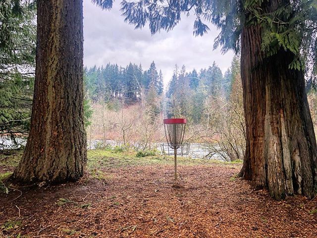 tranquilhyzers's tweet photo. Where are you disc golfing on this Super Bowl Sunday?
.
.
.
#discgolf #dgdaily #milomciver #oregon #discgolfshoutouts #discgolflife #discgolfeveryday #discgolfphotography #sunday #superbowlsunday #weekendvibes https://t.co/jowUsItGcY https://t.co/RDITxRyZZt