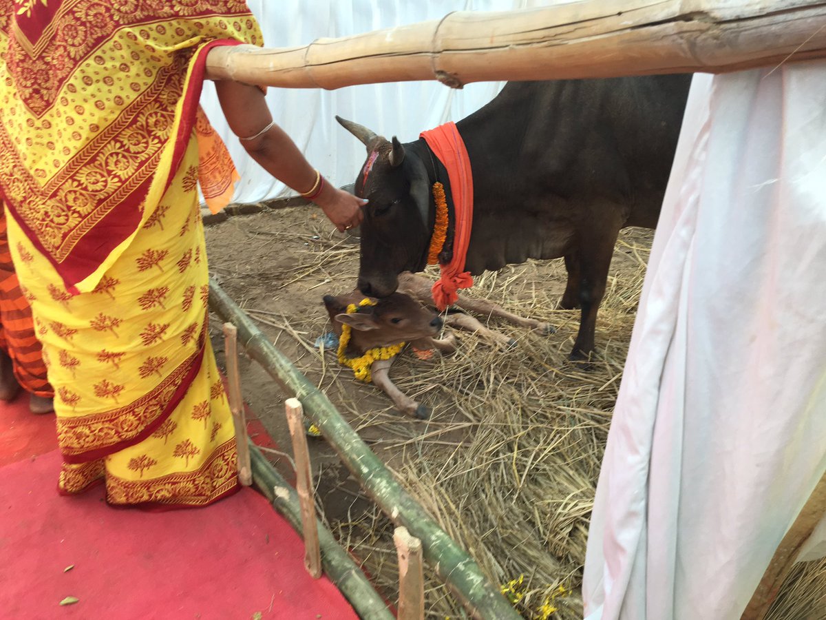 DMahavidya's tweet photo. ଭାରତର ସର୍ବପ୍ରଥମ ଓ ସର୍ବବୃହତ୍ତ ସିଦ୍ଧି ପ୍ରଦାୟିନୀ ପଂଚକୁଣ୍ଡୀୟ ବଗଳା ମହାଯଜ୍ଞ
ସ୍ଥାନ: ଚଉଷଠୀଯୋଗିନୀ ପୀଠ, ହୀରାପୁର, ଭୁବନେଶ୍ୱର ଫେବୃୟାରୀ ୨ ରୁ ୮ ତାରିଖ, ୨୦୧୯ ପର୍ଯ୍ୟନ୍ତ
ମହାଦେବୀ ବଗଳାଙ୍କର ଏହି ଅଲୌକିକ ଆର୍ଶିବାଦ ମହାଯଜ୍ଞରେ ଉପସ୍ଥିତି ଓ ଆଶୀର୍ବାଦ ଭିକ୍ଷା ନିମନ୍ତେ ନିବେଦନ
#Bagalamukhi #MahaJangya #DashaMahavidya https://t.co/ePAWXFjuSX
