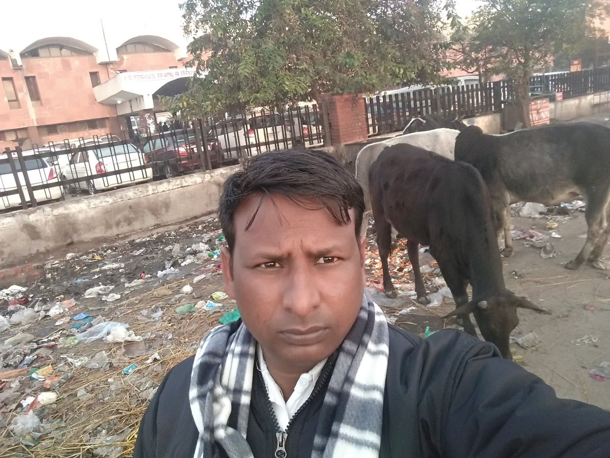 MajraKakkar's tweet photo. भाजपा सरकार का स्वच्छ भारत
#SelfieWithGarbage #Ambala https://t.co/WNEMz3ulDz
