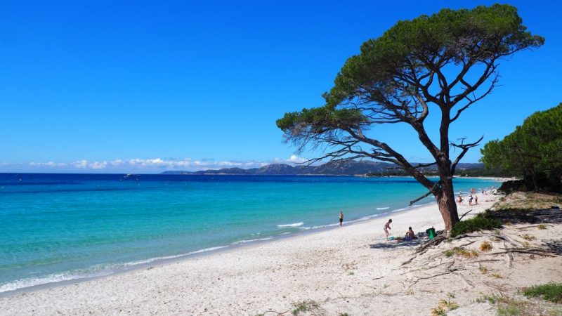 BlogAllantVers's tweet image. [NEW] Itinéraire de voyage 2 semaines en #Corse. D'Ajaccio à Bastia, en passant par Bonifacio, nous avons découvert l'île de beauté à bord de notre van 🚐

allantvers.com/carnet-voyage-…