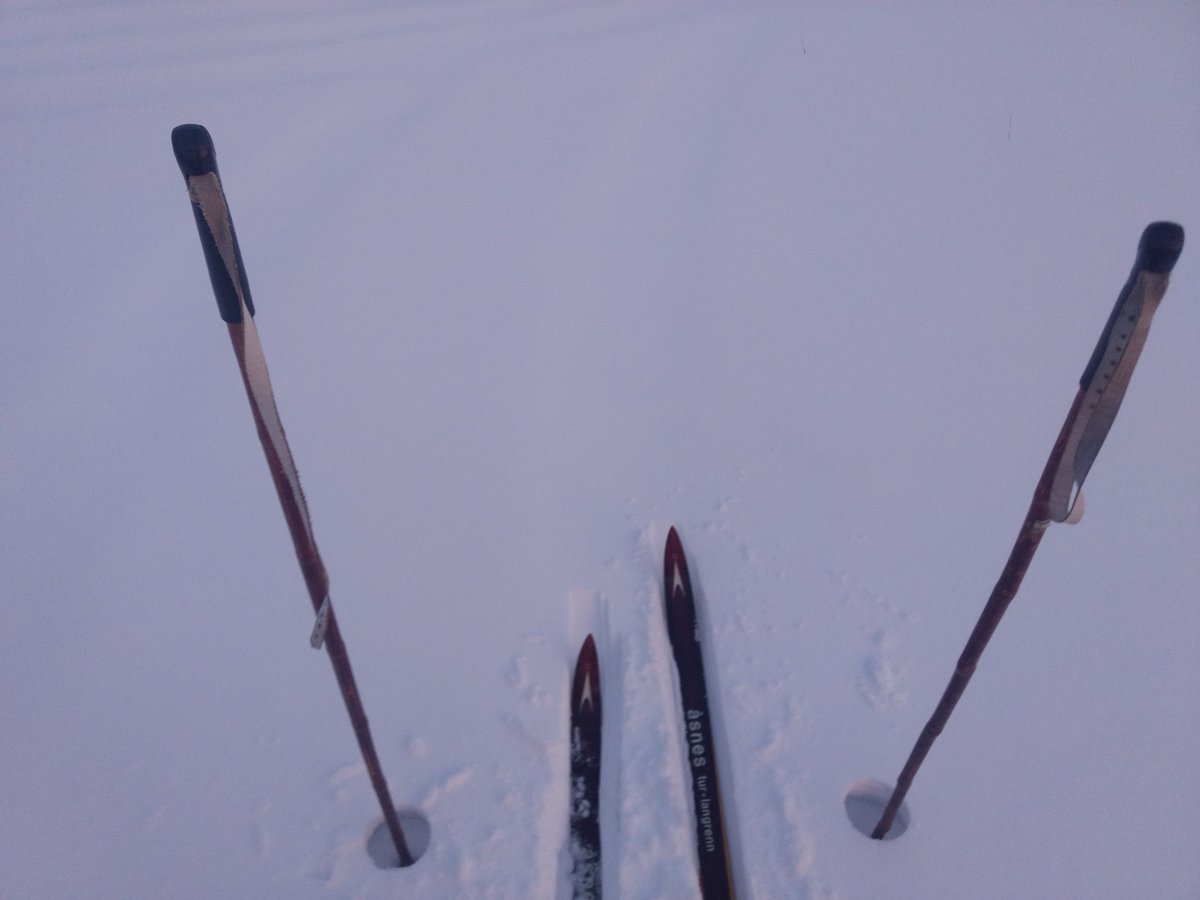 AndyHollenbeck's tweet photo. I'm glad I went out cross country skiing the other day cause the current weather is bullshit. #BringBackTheColdAndSnow #ItsStillWinter #SpringCanWait https://t.co/dleFCSZ7BE