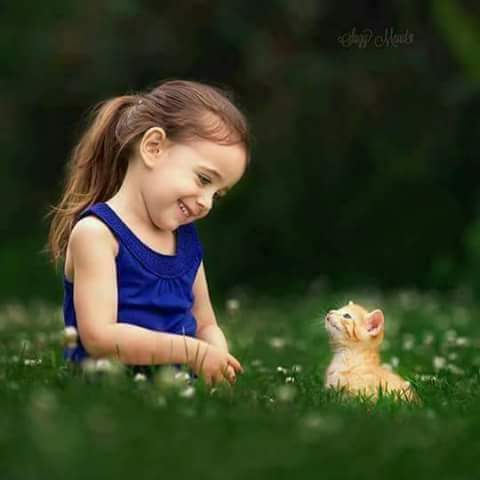 §ïłëñŤ__Ëýę§❣️🇵🇰 (@innocent_l00k) on Twitter photo سنو مجھے اور کچھ نہیں لینا زمانے کےخزانوں سے ❣
بس اتنی سی خواہش ہے _ تم میرے ہو کے رھو ❣
#Pari_sister
<a href="/KhusiKiBabyDoll/">CRYPTO KINGDOM</a> سنو مجھے اور کچھ نہیں لینا زمانے کےخزانوں سے ❣
بس اتنی سی خواہش ہے _ تم میرے ہو کے رھو ❣
#Pari_sister
<a href="/KhusiKiBabyDoll/">CRYPTO KINGDOM</a>
