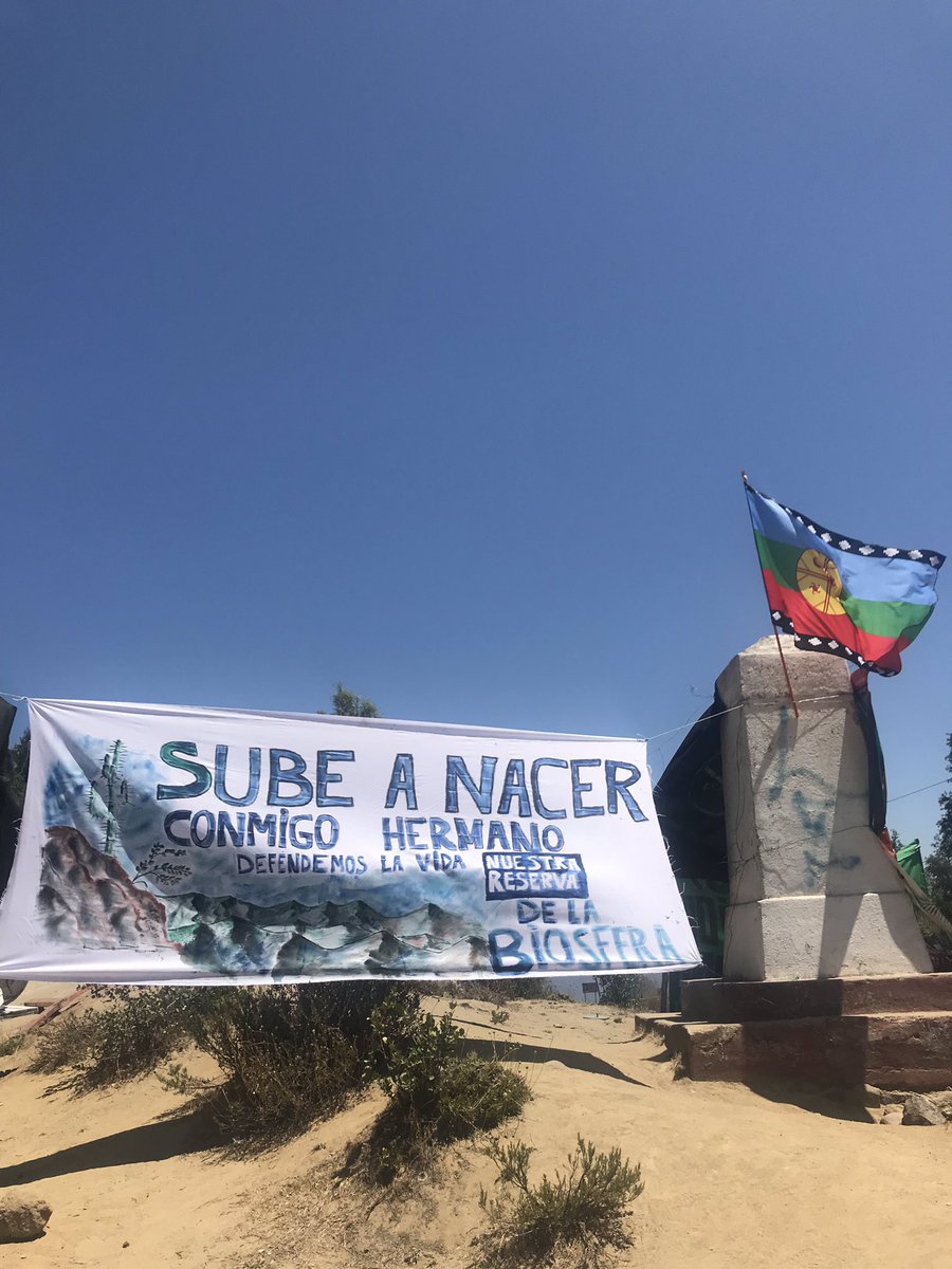 CcMacol's tweet photo. #salvemoslareservadelabiosfera 🌀💚🙌🏻 #nocardonespolpaico #libresdealtatension #ladormidaresiste @SlvmoslaCampana @LibredeTorres https://t.co/PtGCqkkTvO