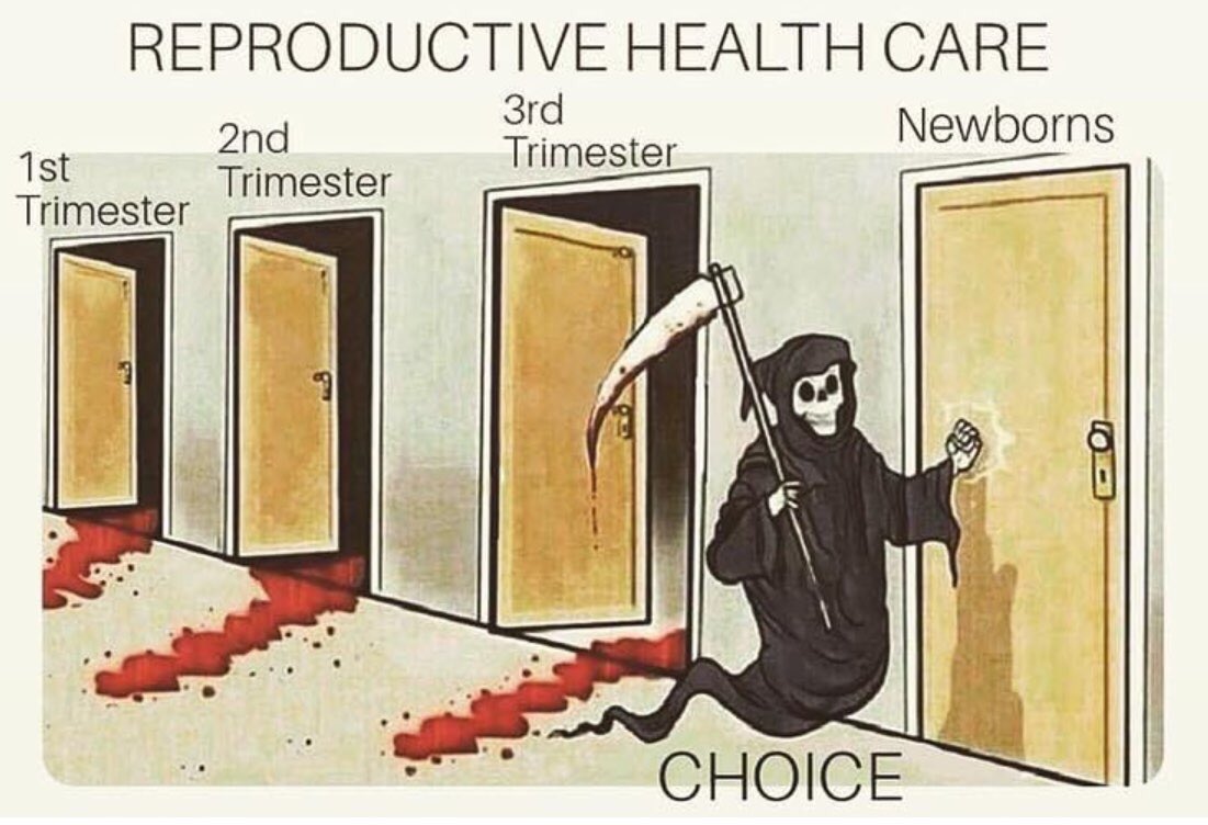 obianuju's tweet photo. Reproductive Health Care has become the preferred euphemism for Abortion Extremism.

cc. @NYGovCuomo , @GovernorVA @GovPhilScott https://t.co/kHz6A82MCf