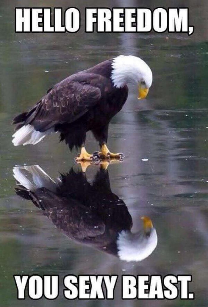 ObiwallKenobi's tweet image. Yassssss! It's over forever! #ByeOnCall #HelloNewJob