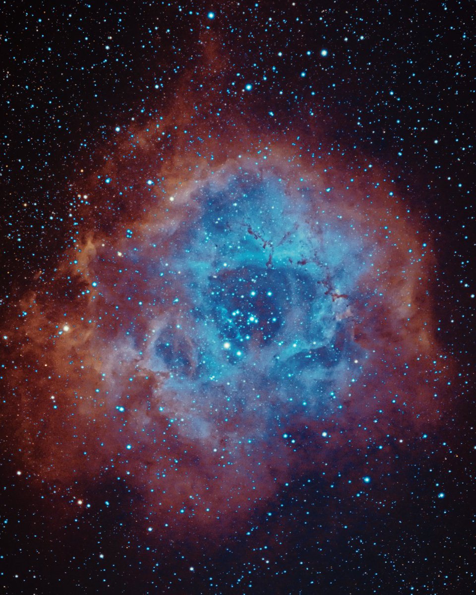 Stephen13ennett's tweet photo. I was very lucky to have a chance at capturing the Rosette Nebula under perfect conditions as it flew over our back garden last night 🌠 #Astrophotography #astronomy #astronomia #telescope #astro #nightsky #space #photo #photography #Stars #fujixt2 #fujifilm_xseries #fujifilm https://t.co/bggpsJKSQK