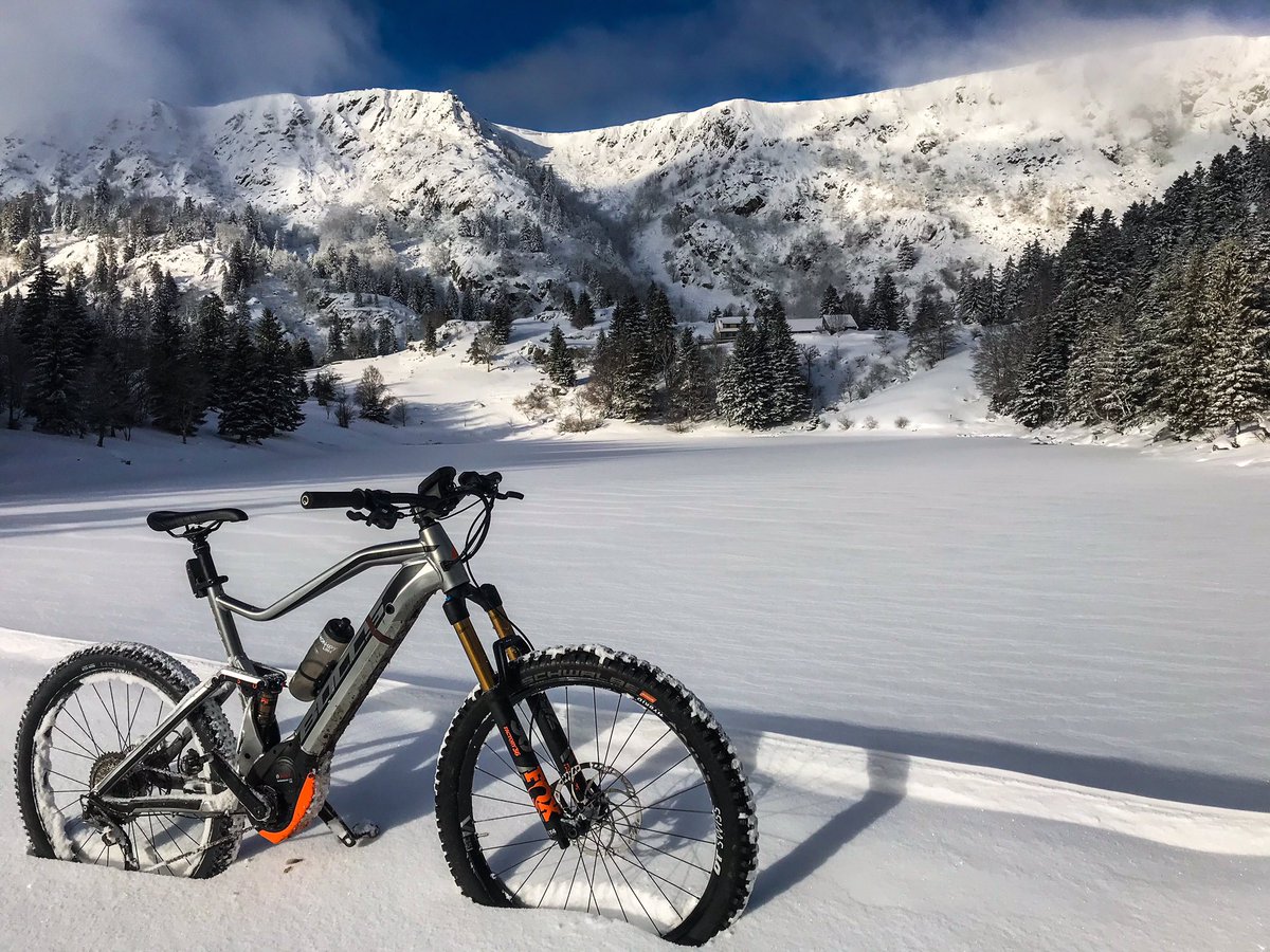 DIETSCH Thomas tweet media