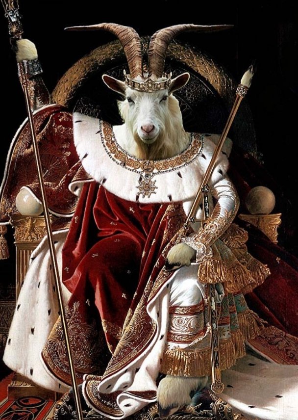 nmihajl0v's tweet photo. 🐐 https://t.co/d2XOXkczCr