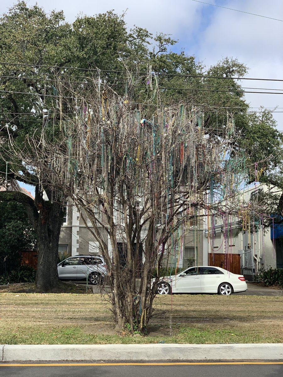 HoneyandBrei's tweet photo. Spending the day taking #bookstagram pics for the week. This week will have a #NOLA flair. #beadtree #mardigras #stcharles https://t.co/cgS5aPnBNJ