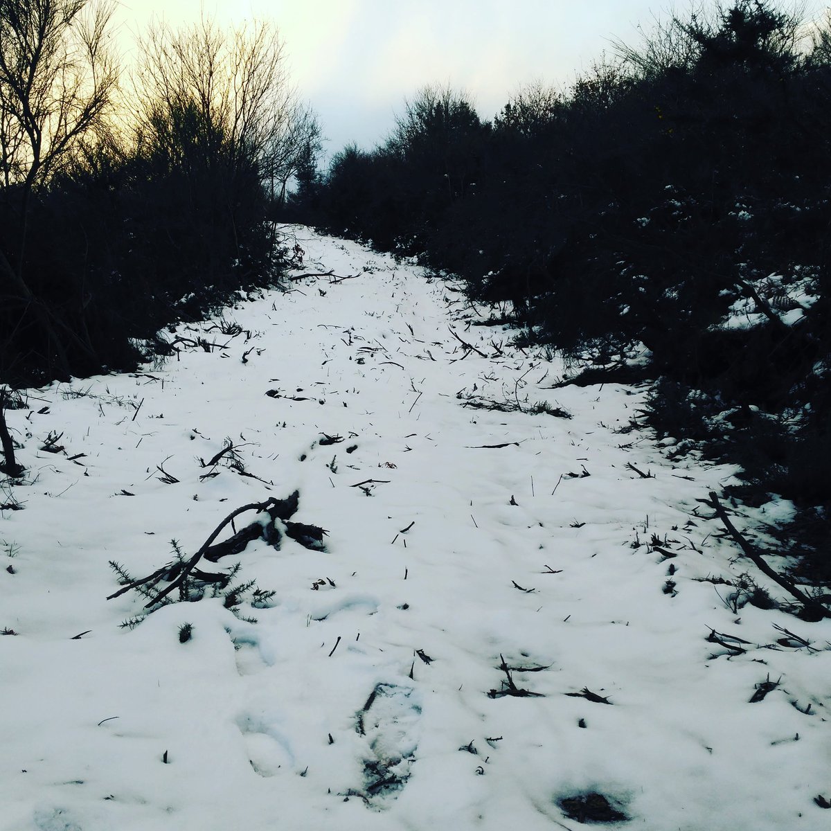 ogatolarpeiro's tweet photo. Primeras nieves del año!!!🗻🌨❄ First Snow of the Year!!!🗻🌨❄ #dozon #deza #nieve #invierno #snow #winter #ogatolarpeiro https://t.co/oC3ykElgMJ