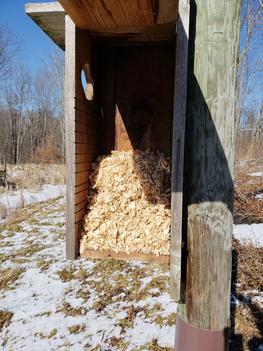 captnrailroad's tweet photo. Yup these beds need new linen! Before long the wood ducks will be back. #woodduck #duck #duckboxes https://t.co/5B9GYKoLu7
