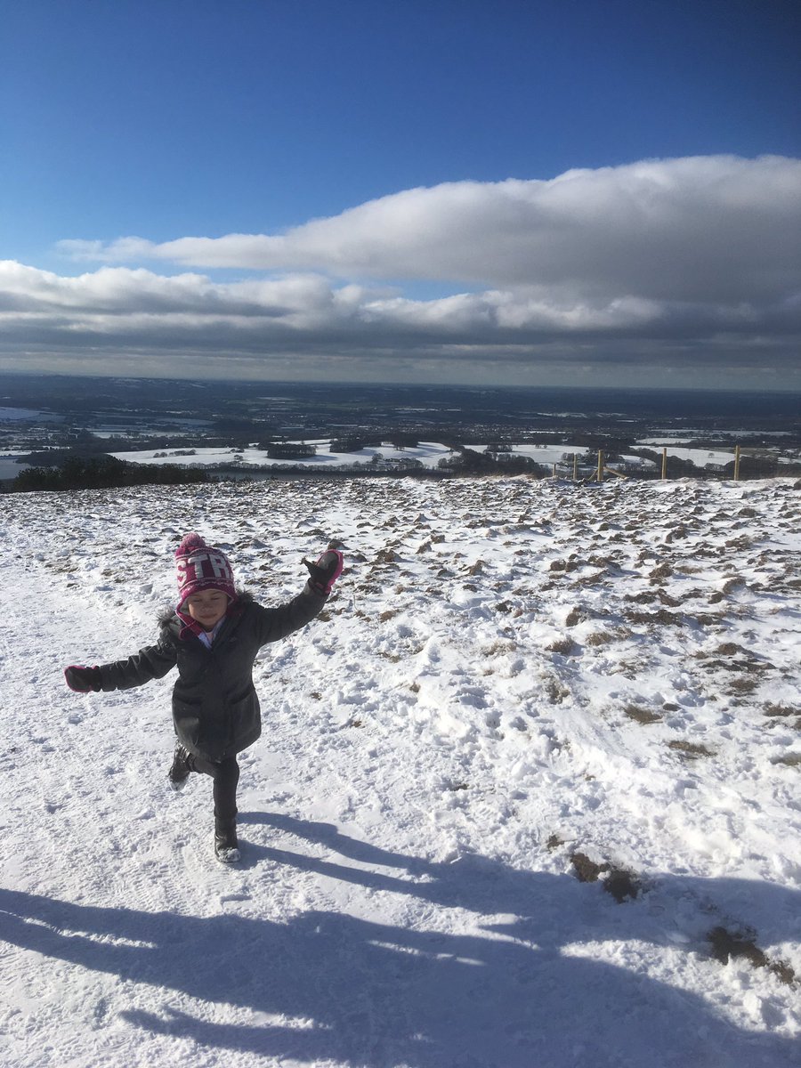 Alex Morrisey (@almorrisey) on Twitter photo 