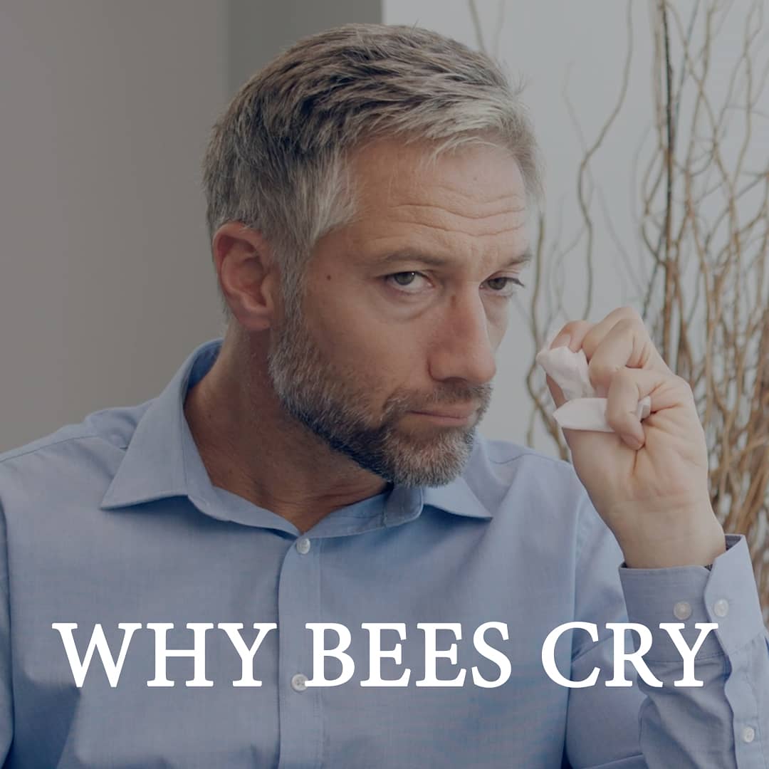 Check out our first ever comedy short film "Why Bees Cry" starring <a href="/FlynnAlanna/">Alanna Flynn</a> and <a href="/howardcorlett/">howardcorlett</a> who both put in amazing performances! 

youtu.be/2ZNA2Wbfp8E
