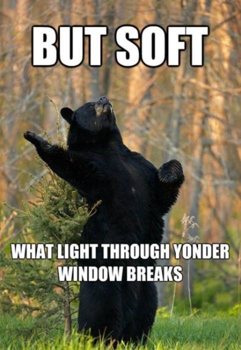 Stephen_Stanton's tweet photo. A Little #ShakesBear in the woods! #ShakespeareSunday https://t.co/Clv8tnW91A