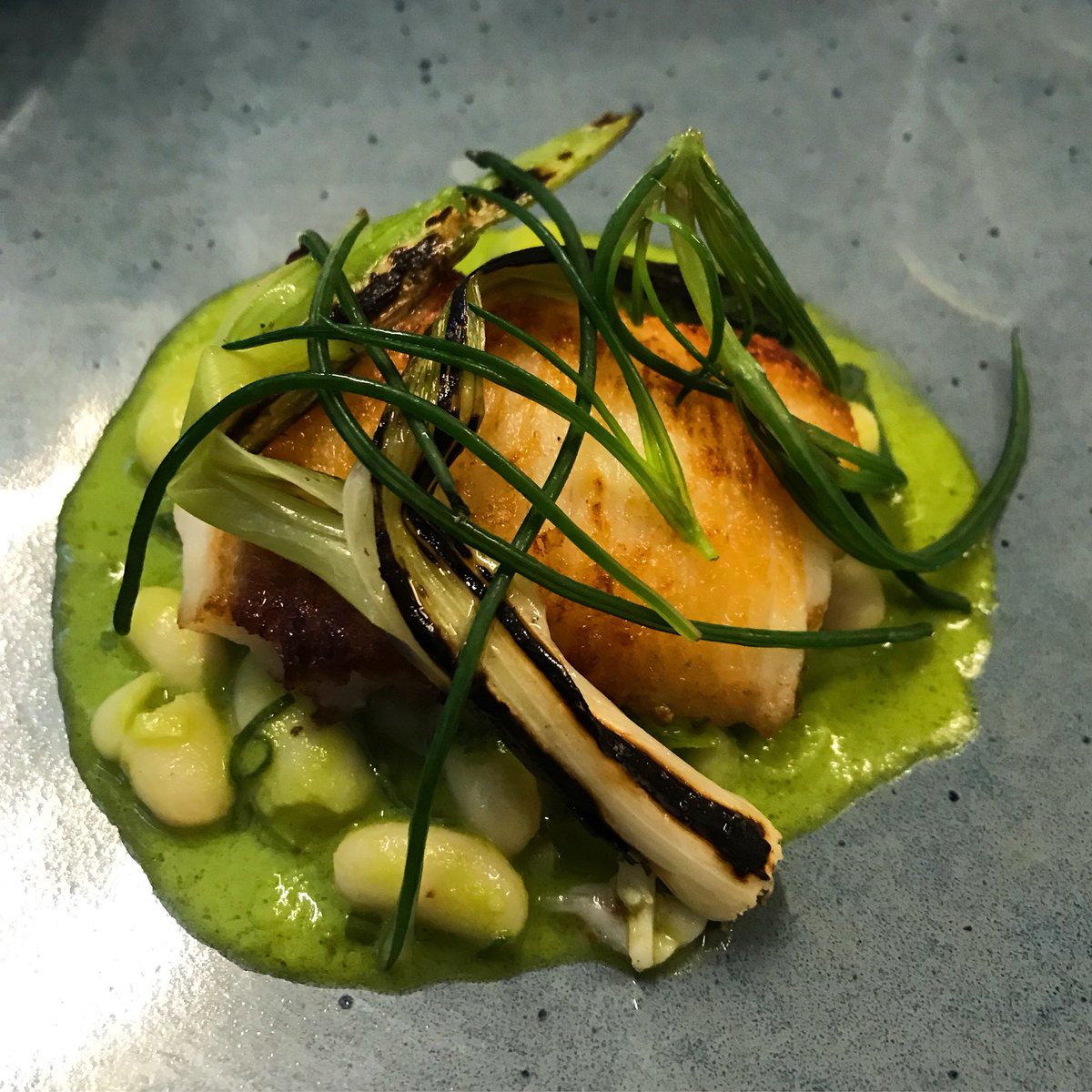 xHannahWilsonxx's tweet photo. Excellent tasting menu at @StemRestaurant today - totally recommend! #london #mayfair #tastingmenu https://t.co/Zv7digyxWl