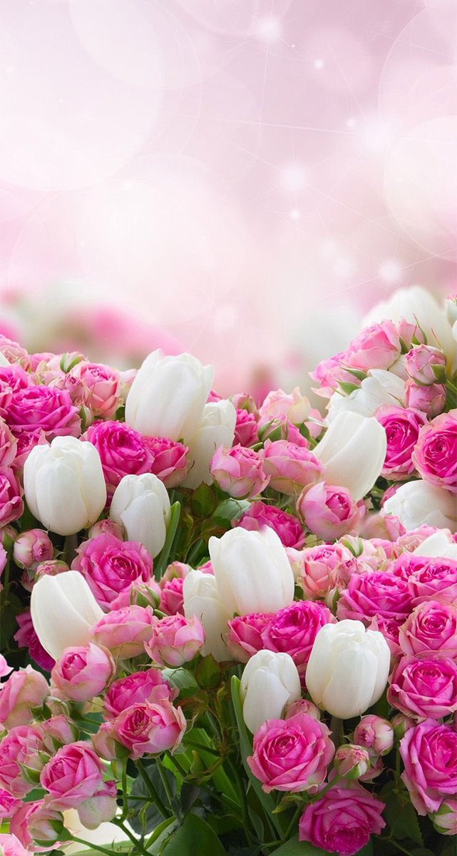 <a href="/MrShikharMisra/">SHIKHAR MISRA</a> <a href="/Alexa17101614/">ALEXA 🍃💋🍃</a> <a href="/DerekPa56710094/">Derek Paterson</a> <a href="/grandesol2016/">LUA CHEIA DE AMOR.</a> <a href="/TAASAA1756/">ابو غسان القريشيEng.AboGhassan</a> <a href="/JackConnie/">Connie Jack</a> <a href="/Jimmysimmonds1/">Jimmy Simmonds</a> <a href="/Jesus_Luvs_Us/">Betty Roz</a> <a href="/jill_magnussen/">Jill Magnussen</a> <a href="/1madwoman1962/">maddie</a> <a href="/karenslinn43/">Karen ♥️😘🐶🤗💐♥️🐶</a> @fiftyminus2 <a href="/leonalombaerts/">Marie-Elisabeth</a> <a href="/FRISEEMYRIAM/">FRISEE MYRIAM</a> <a href="/merabethjames/">Merabeth James</a> <a href="/Eley01/">Shaun Eley</a> <a href="/vinodch8560/">vinod choudhary</a> <a href="/SuezWillson/">sue willson</a> <a href="/Shirley82829043/">Shirley Dunn</a> <a href="/11syoung/">Sally Young</a> @S__Morgan13 Happy #NewWeek Shikhar &amp; Friends!