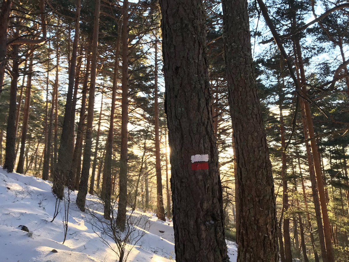 ClaudiaGuEs's tweet image. Condiciones #invernales en #Guadarrama. Sol a primera hora en zonas bajas. Poca visibilidad y mucho viento en altura. #7picos