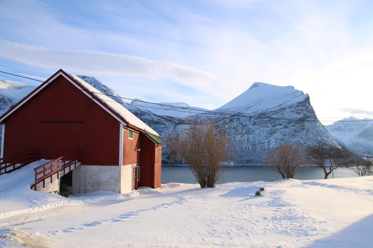 The quiet beauty of #WinterWonderland #norway #visitnorway #ThePhotoHour #StormHour #klungnes #nordvestlandet #visitmolde #beautifuldestinations #winterdestinations