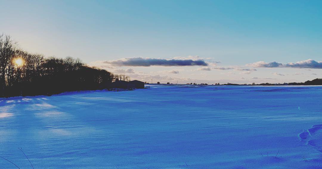 Ben Millar tweet media