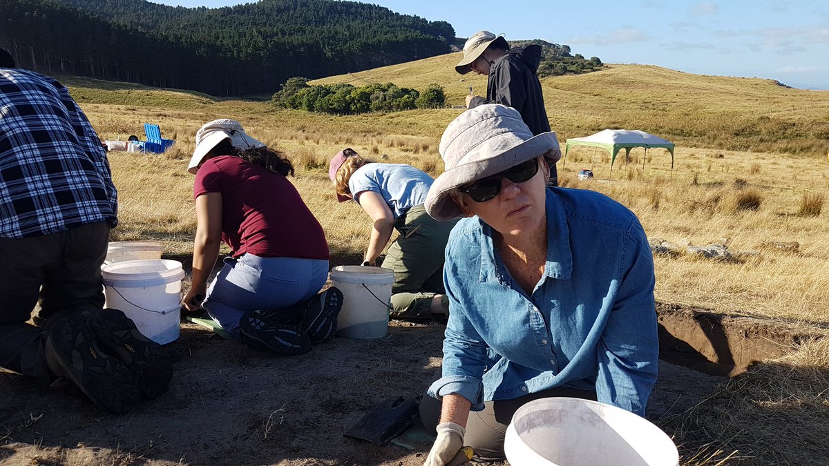 Excavating here on #Ahuahu for 2 weeks as part of the <a href="/AnthroAuckUni/">Anthro at Auckland</a> and <a href="/aucklandmuseum/">Auckland Museum</a> Great Mercury Island Project. We also have 13 <a href="/AnthroAuckUni/">Anthro at Auckland</a> field school students with us learning about archaeology.