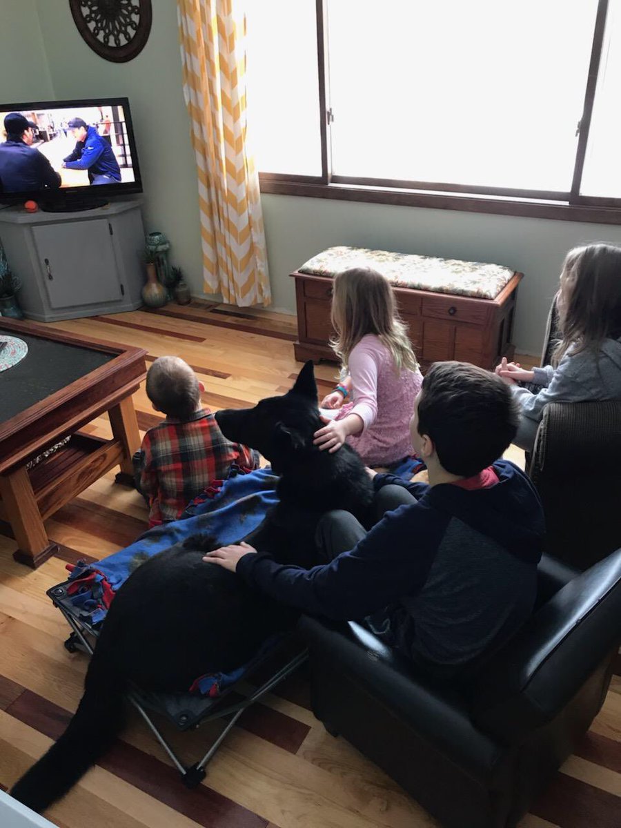 K9 Chilly tweet media