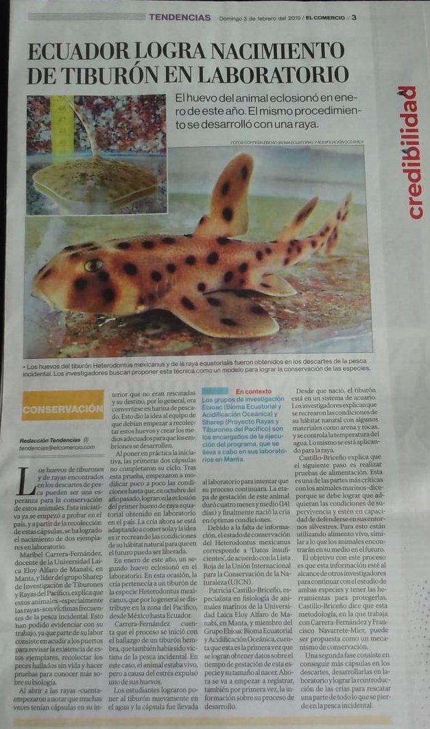 F_NavarreteMier's tweet photo. Hoy la prensa nacional hace una nota de uno de los trabajos que hemos realizado en #EBIOAC en colaboración con #SHAREP. Pese a las limitaciones vamos contribuyendo con el avance de las #CienciasMarinas en Ecuador #CienciaDeGuerrilla @Pcasbri https://t.co/swWP3e0Ie0 @CientificasEC https://t.co/EaKXs8PTqq