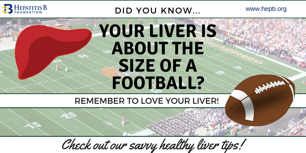 HepBFoundation's tweet photo. It's #SuperBowl Sunday! #DYN your #liver is roughly the size of a football and weighs close to 3 lbs? Keep it healthy and able to perform all of its 500 plus functions! #DrinkResponsibly #SuperbowlSunday #NFL #RamsvsPats #hepatitis #HBV https://t.co/0dXc5OmVb3 https://t.co/3077P47ios