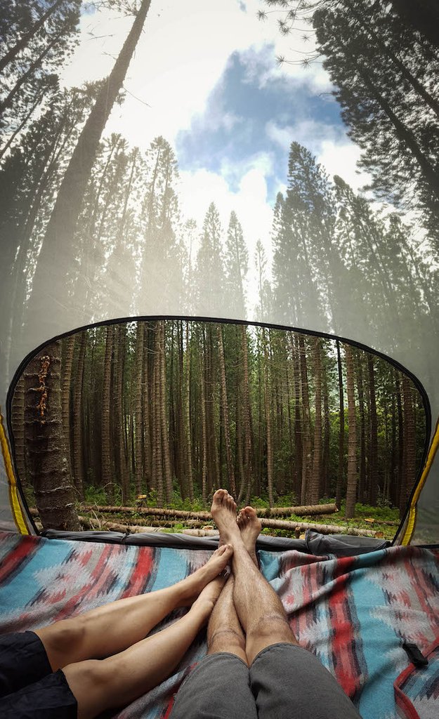 TentsElevated's tweet photo. Be ready for an early spring 🌾and get your tree🌳 tent🏕️ now and camp anywhere you like🌠
#treetent #tentselevated #sleephigher #getoutside #sleepelevated #paddleboard #getINTENTS #stream #trees #camping #stars #family #adventure #fultimefamilies #INTENTSnation #amongthetrees https://t.co/Fs1hsxK4Vx