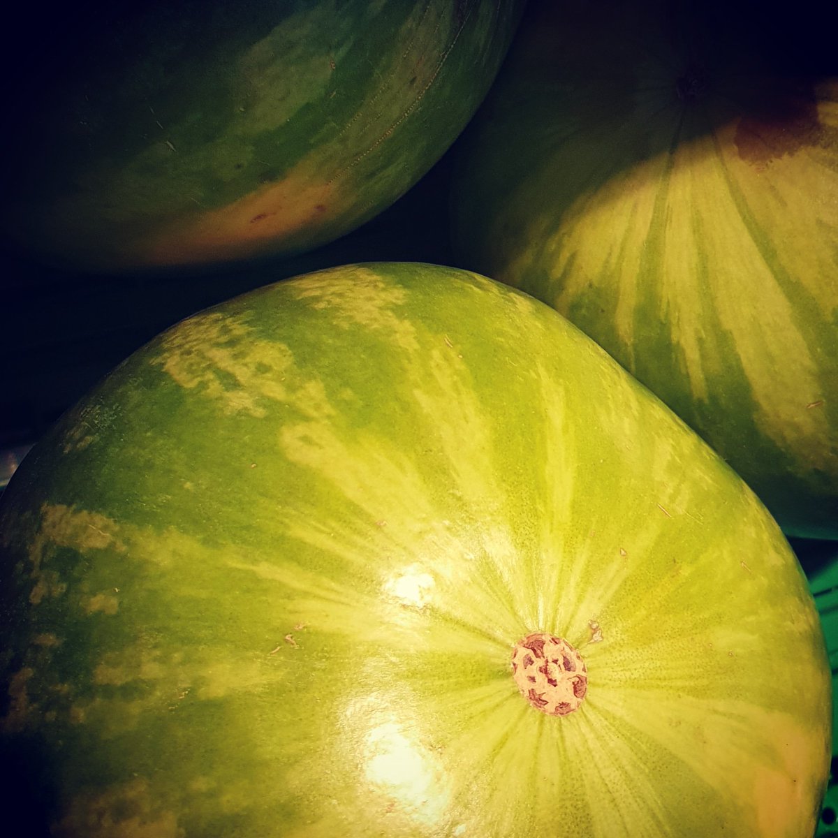 #weekfive of the #52weekphotographychallenge and this weeks challenge was #Fruit so here are some juice melons 🍉

#photooftheweek #photographychallenge #challenge #Photography #stilllifephotography #fruity
