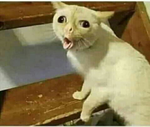 كي كنت صغير نقرأ
الفرنسية وتقلي 
الاستاذه قول eau
خخخخخخخ 😅😅😂
#أيام_زمان👌😁