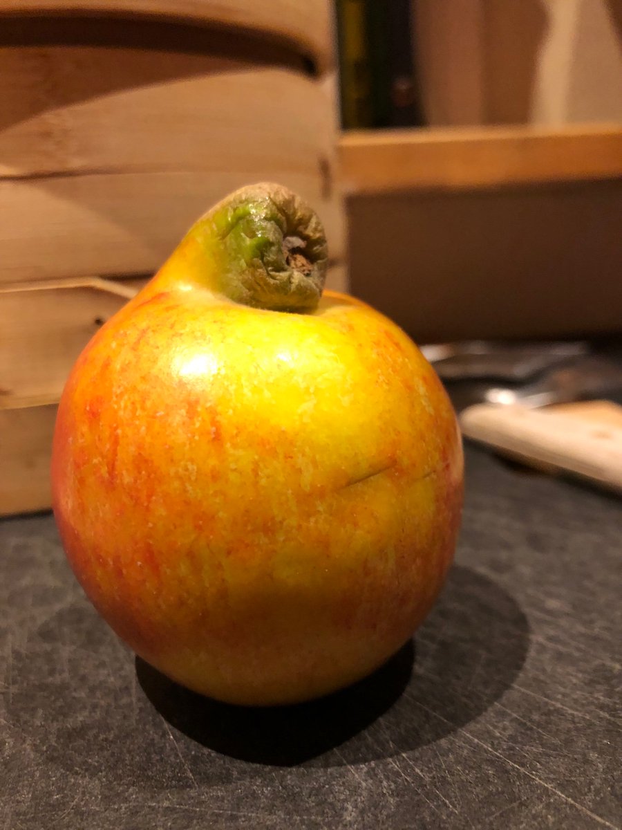 That’s the last time I buy apples from David Cronenberg. #bodyhorror #killitwithfire