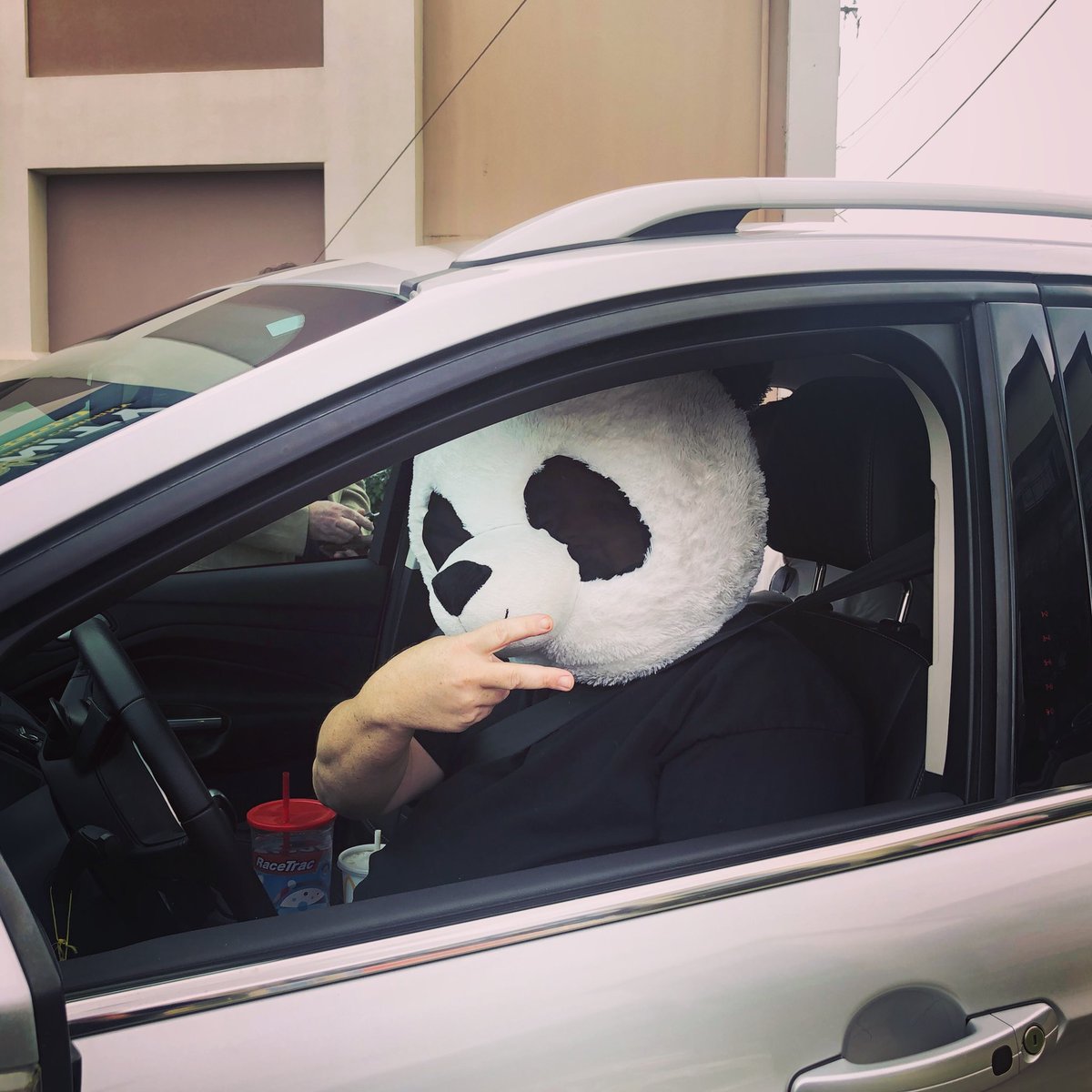 NicolaBradshaw0's tweet photo. When your Uber driver turns up wearing a panda head... #onlyindallas #dallas #wearemarklogic #sko2019 https://t.co/u2lznwWa9y