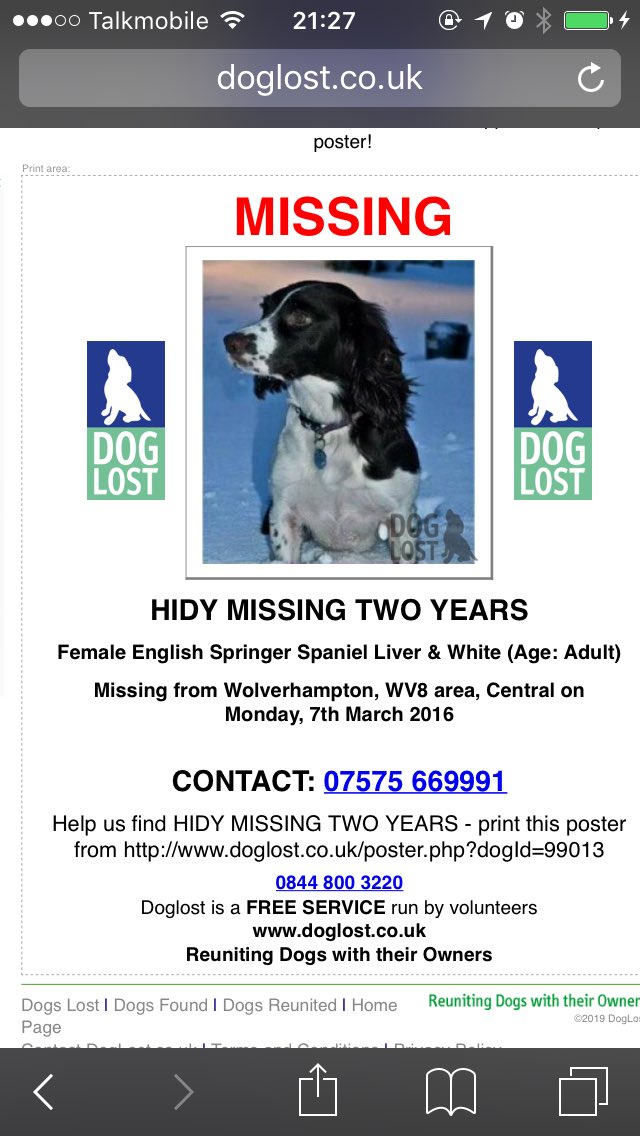 rosieDoc2's tweet image. #LOST beautiful HIDY liver&amp;amp;white (pics make her look blk BUT SHES BROWN) look how distinctive her markings on her body are 7/3/16 SO LONG, but never forgotten HER FAMILY MISS HER SO MUCH #checkthatchip if u think u have her #Wolverhampton #WV8 

doglost.co.uk/dog-blog.php?d…