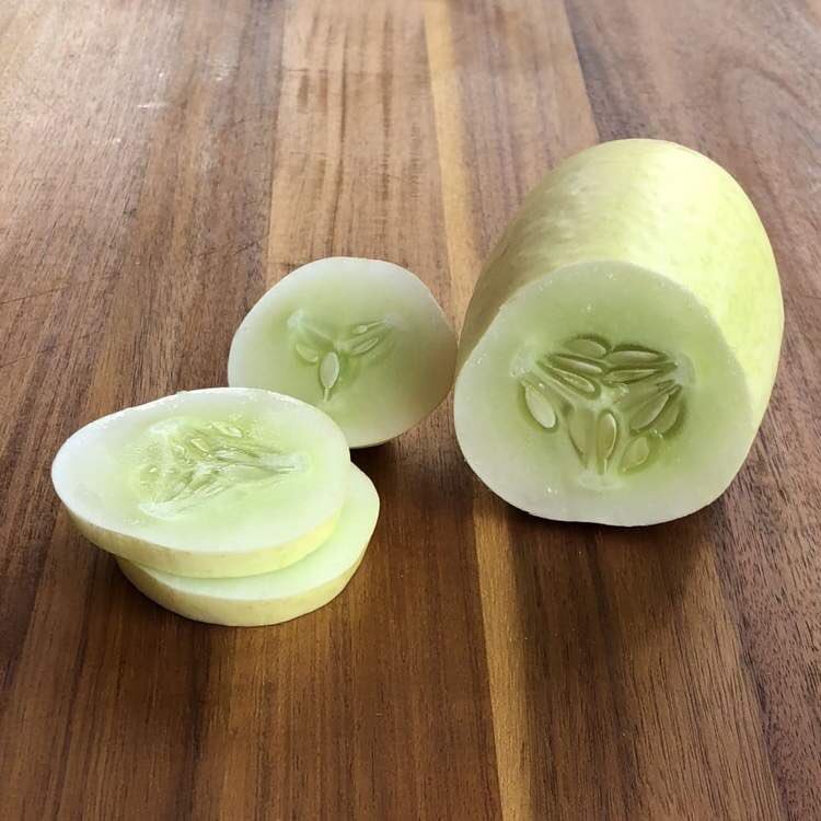 AmkhaSeed's tweet image. Introduced in 1893, ‘White Wonder’ produces 5 to 8 inch long ivory colored cucumbers that are incredibly crisp with excellent flavor. They’re perfect for fresh eating or make exceptional pickles.

#cucumbers #heirloom #vegetables #sustainable #gardening #healthy #sowsomething