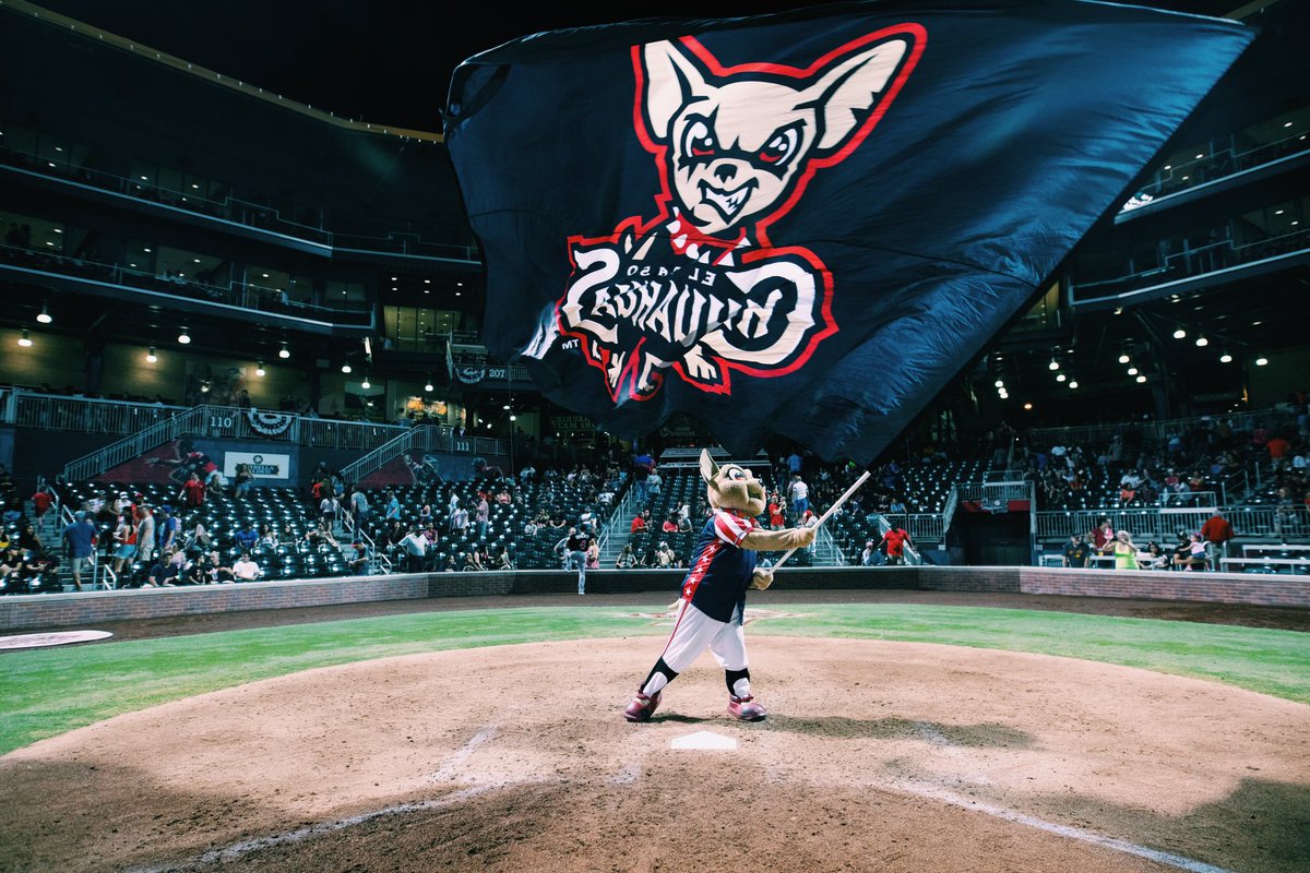 epchihuahuas tweet picture