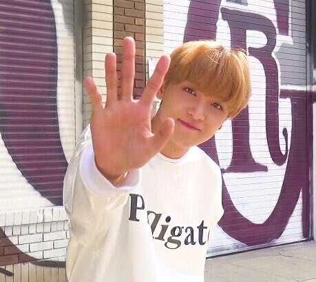 haechan: san diego state university