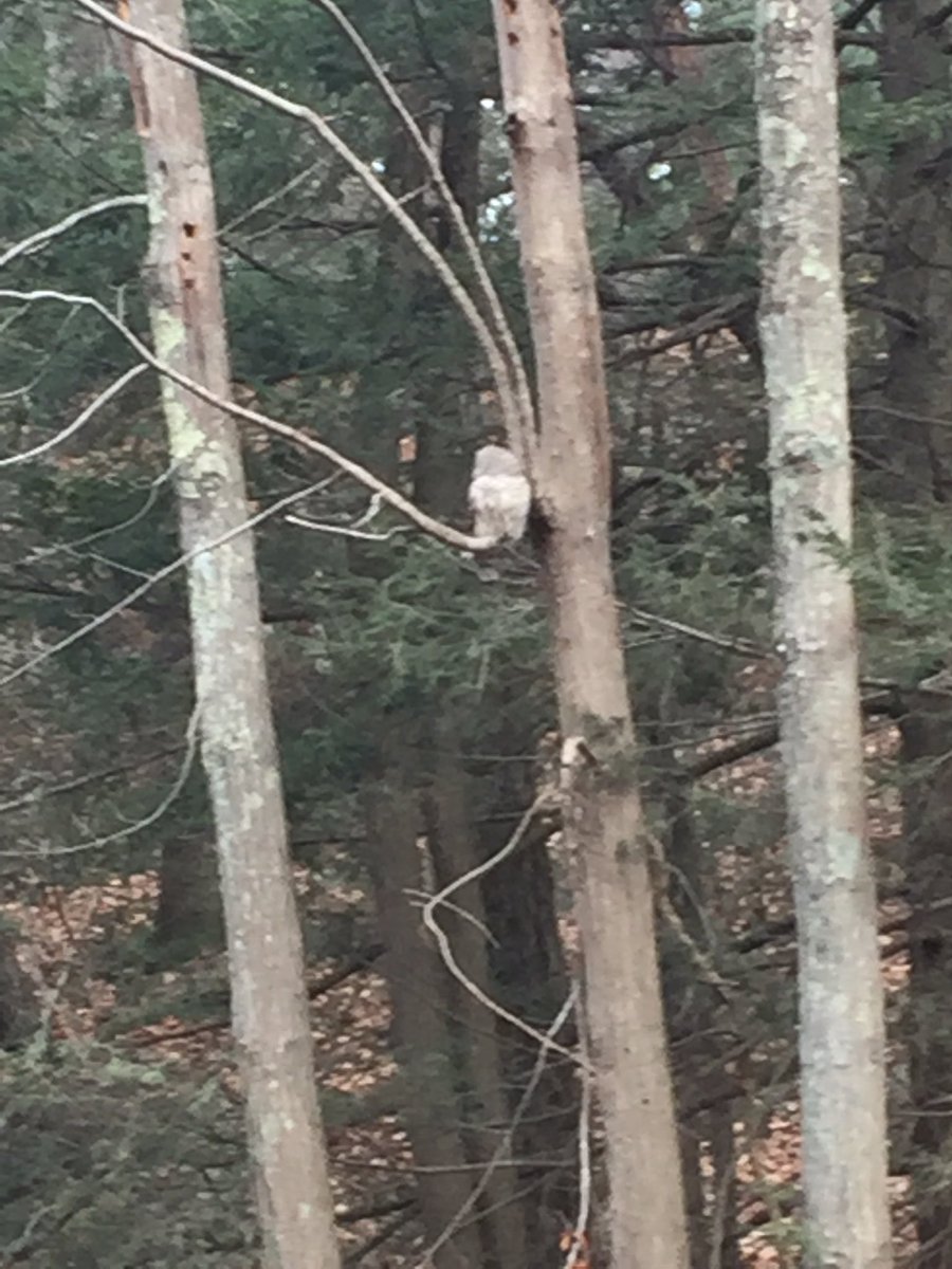 We watched one another for about 15 minutes...