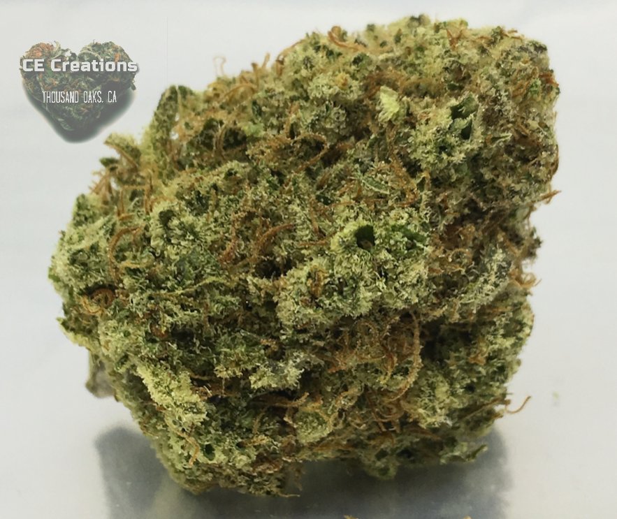 cecreationllc's tweet photo. #cecreationsllc #Sweet #Blueberry #Landrace #strain #PoisonDream for #stress #relaxing #uplifting #mood #love #sativa #flower #BlueDream #PoisonDurban #THC #herb #instagood #cannabis #photooftheday #lit #beautiful #happy #goodvibes #instadaily #picoftheday #smile #follow4follow https://t.co/ZveVu9BYVq