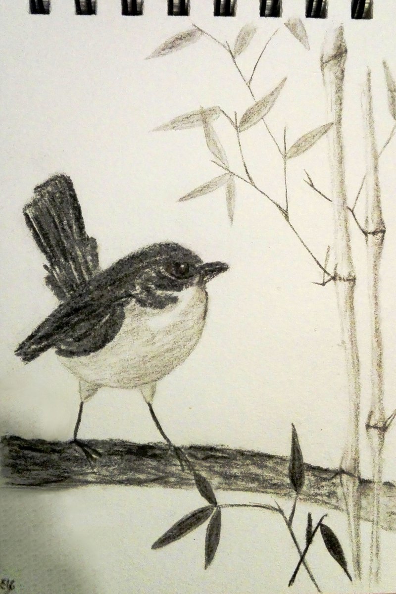 Fusain Twitter Search