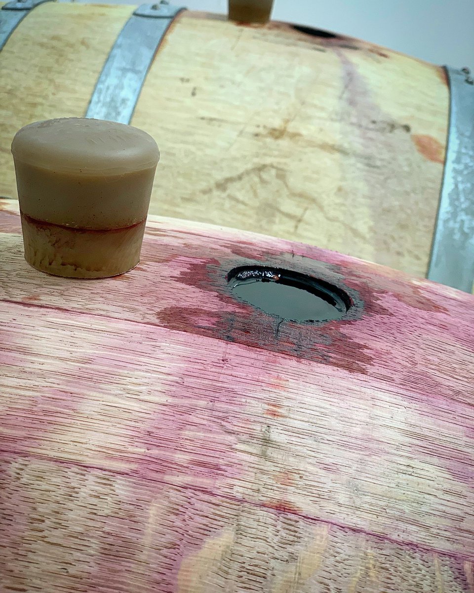 All topped up! Halfway through Malolactic fermentation. Looking, smelling and tasting good! 

#Winemaking #Winemaker #HomeWinemaker #AmateurWineMaker #Winemakers #Wine #WineCommunity #ForTheLoveOfGrapes #Fermentation #DIY #Cabernet #Merlot