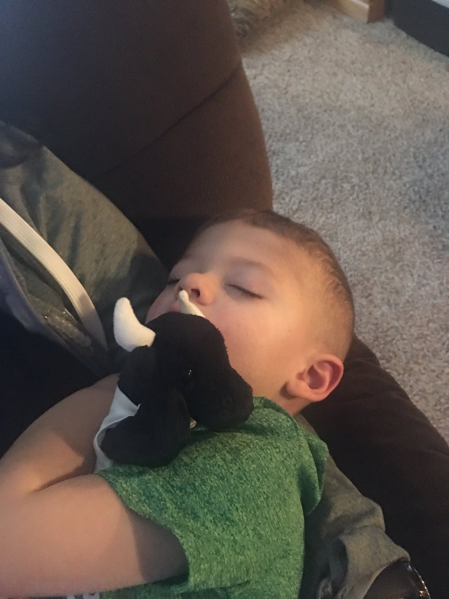 ROMOMUSTSIT's tweet photo. #cortevaherd made it home and now he has a new buddy https://t.co/5Npzv6yR1A
