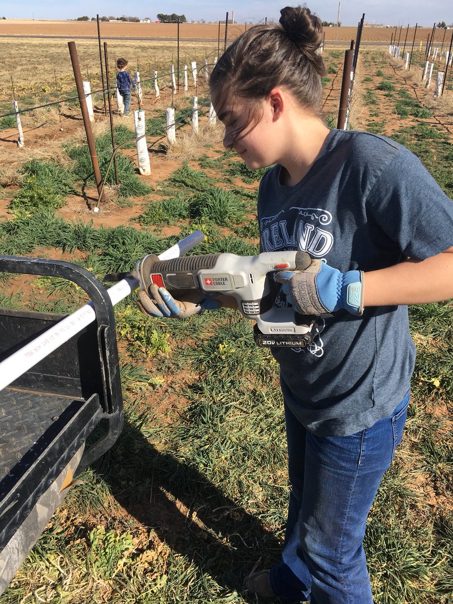 bolenvineyards's tweet image. Spent the afternoon getting @reese_lauren_bolen Mourvèdre vineyard irrigation setup. 15 years old and has her own vineyard. 🤷🏻‍♂️#txwine #winegrape #vineyard #mourvedre #txhighplains #highplainsava #ffa #recordbook
