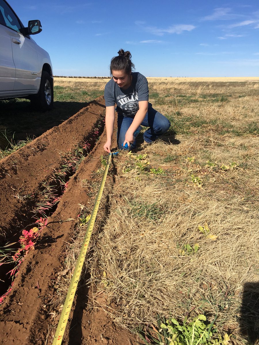 bolenvineyards's tweet image. Spent the afternoon getting @reese_lauren_bolen Mourvèdre vineyard irrigation setup. 15 years old and has her own vineyard. 🤷🏻‍♂️#txwine #winegrape #vineyard #mourvedre #txhighplains #highplainsava #ffa #recordbook
