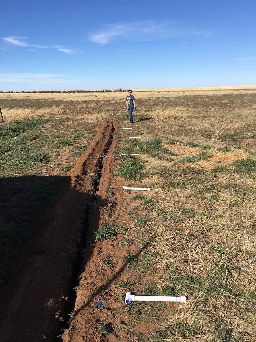 bolenvineyards's tweet image. Spent the afternoon getting @reese_lauren_bolen Mourvèdre vineyard irrigation setup. 15 years old and has her own vineyard. 🤷🏻‍♂️#txwine #winegrape #vineyard #mourvedre #txhighplains #highplainsava #ffa #recordbook