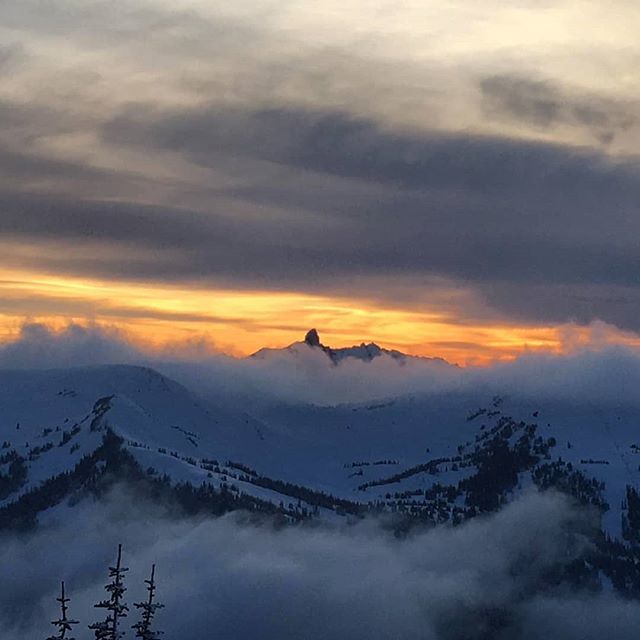 MSA Adventures tweet media