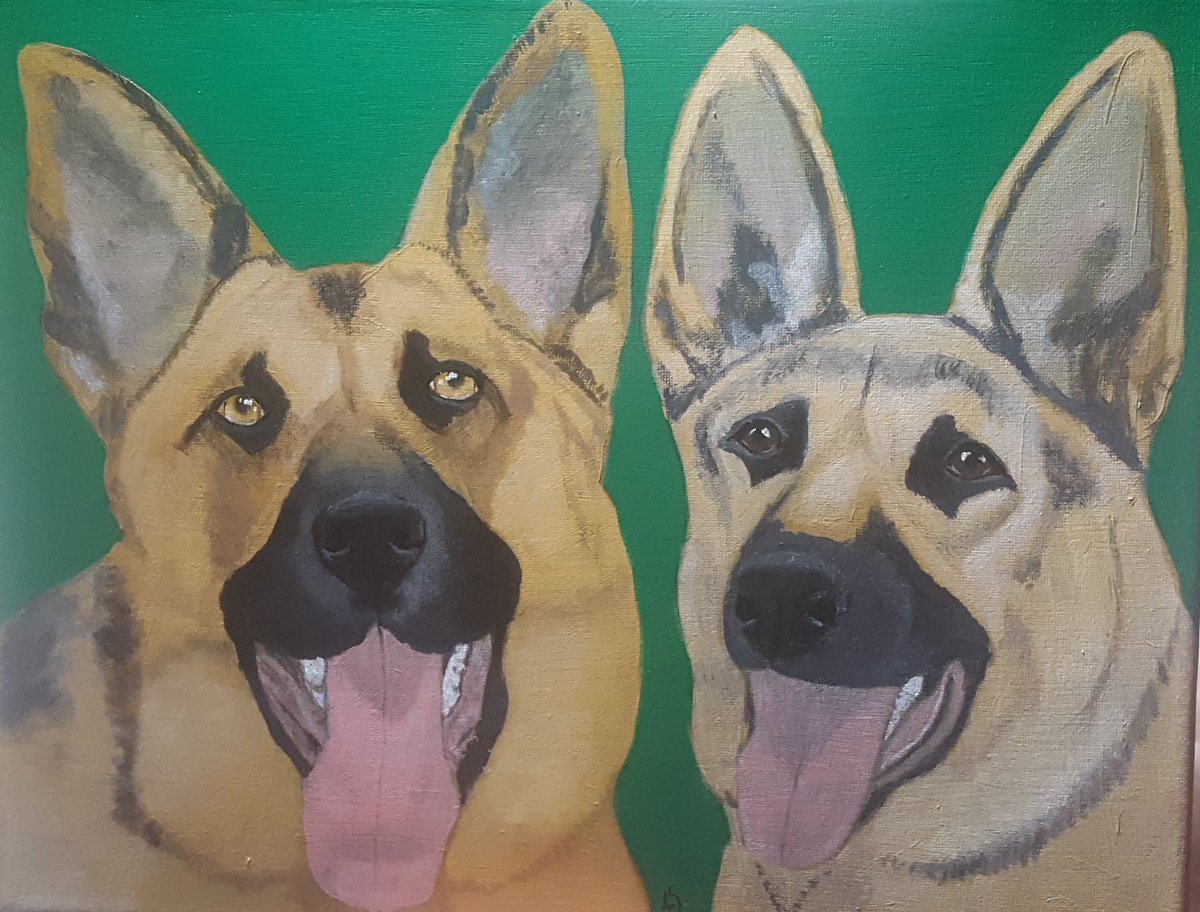 PugHollow's tweet photo. Brass and Ryka, a lovely pair of German Shepherds on 11 x 14 canvas Get yours here: https://t.co/mIP9GIMjK4 #art #dogs #GermanShepardDogs https://t.co/dNkQnvJjNP