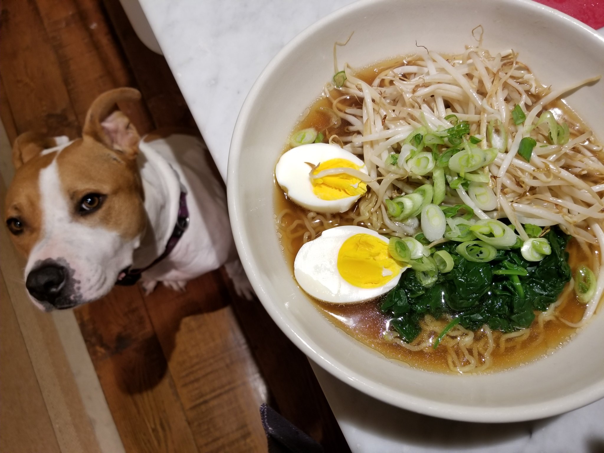 Trinitynyc Homersakai 醤油ラーメンと 味噌ラーメンが 生麺とスープが二食分入って うちの近所のホールフーズで売られてるんです ラベルも Shoyu と書かれていて本格的なのよｗ Ramen は21世紀のアメリカ人の食生活において 完全に市民権を得た