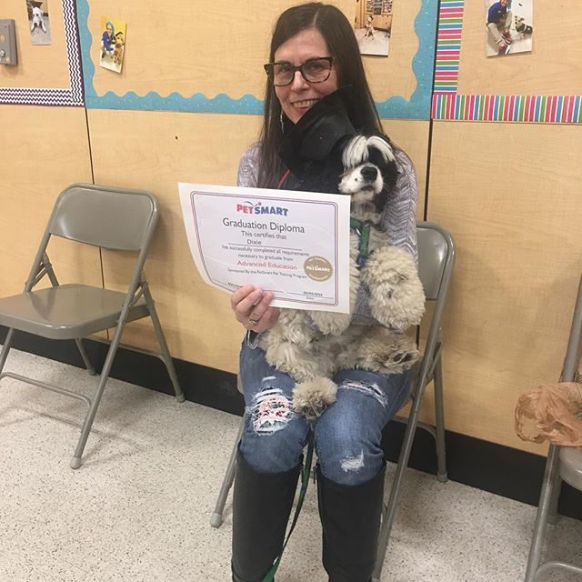 CSCarrigan's tweet photo. My #cockerspaniel Dixie graduated from advanced #dogtraining today #dogsofinstagram #gooddog #wellbehaveddogs #godisdogspelledbackwards #happydog https://t.co/TnEzoHlFco https://t.co/taAjAZRSGm